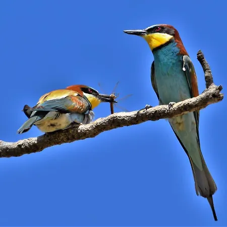 Country house Casa Rural De Luna Don Alvaro