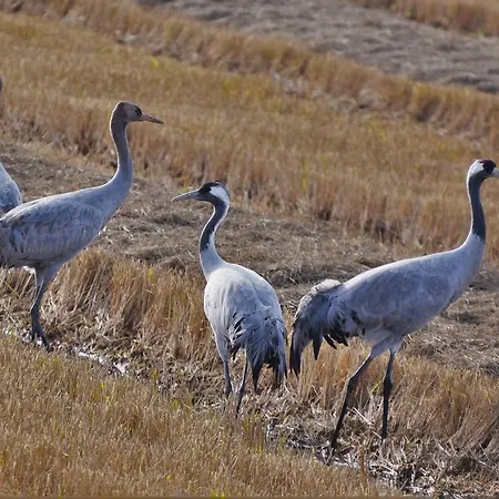 Country house Casa Rural De Luna *