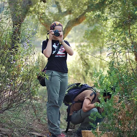 카사 루랄 돈 알바로 데 루나 * Don Álvaro