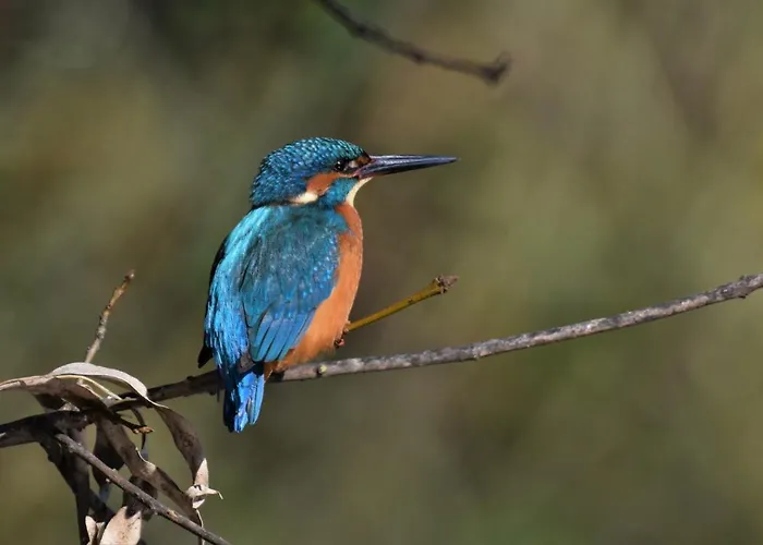 De Luna Casa de Campo