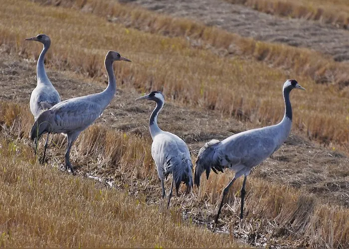 Casa di campagna De Luna *