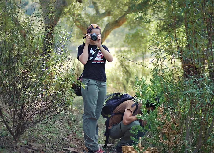 De Luna * Don Álvaro
